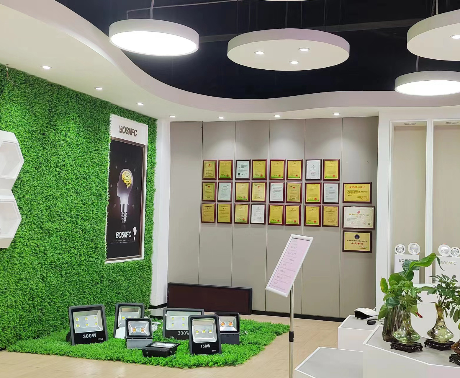 China Dongguan Lanjin Optoelectronics Co., Ltd. Perfil da companhia