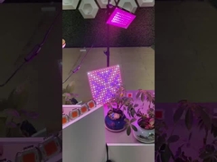 2835 SMD LED PCB de espectro completo COB Para plantas LED Grow Light